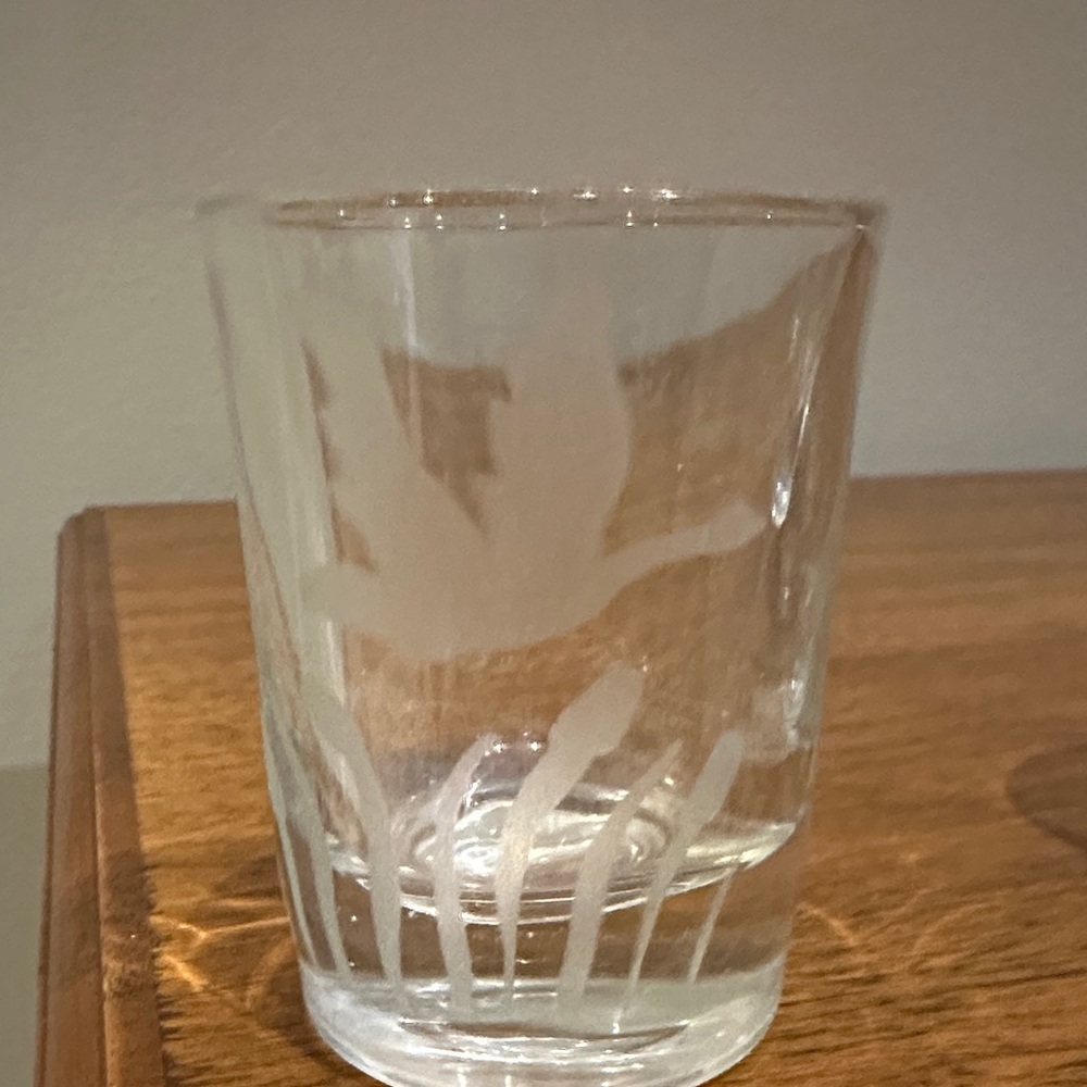 Etched Glass Tumbler - Duck Themed
